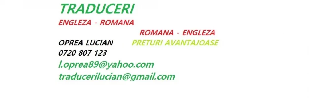 Traduceri Profesionale